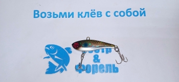 Jumprize ChataBee 52 цвет8 - фото
